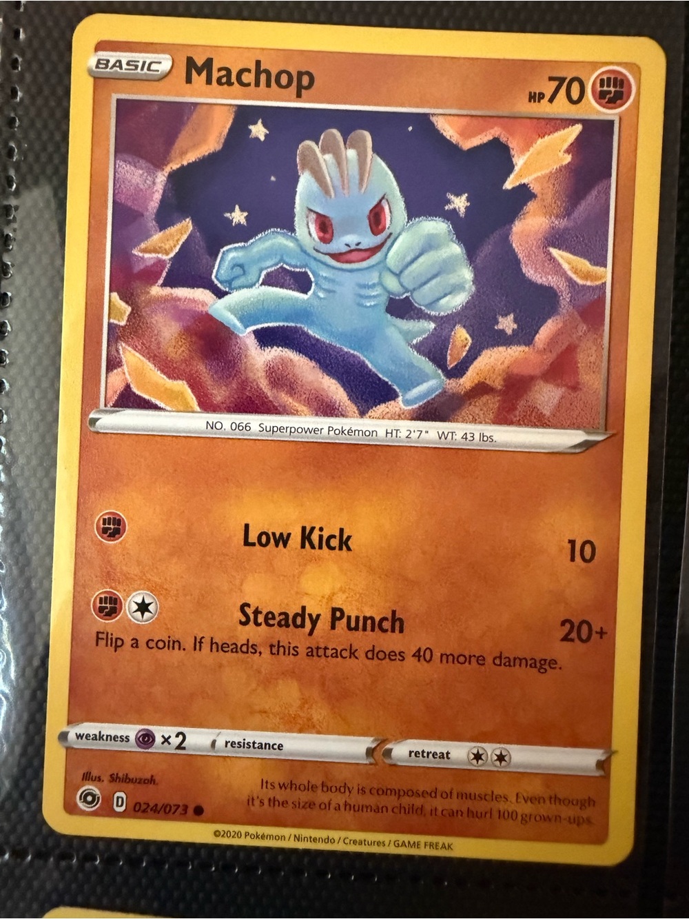 Machop 024/073 Pokémon Card Champion’s Path 2020